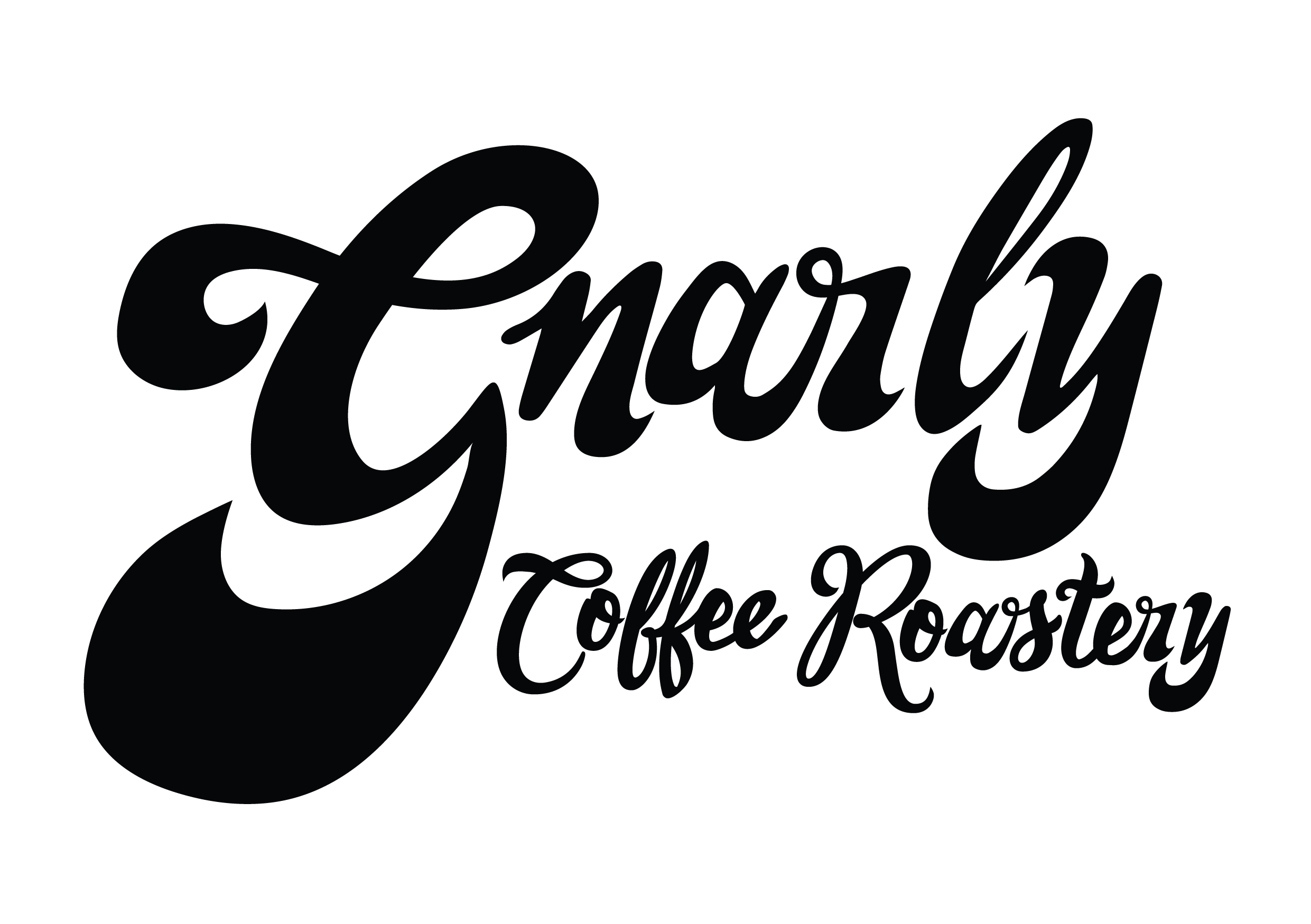 Gnarly final logo transparent background black